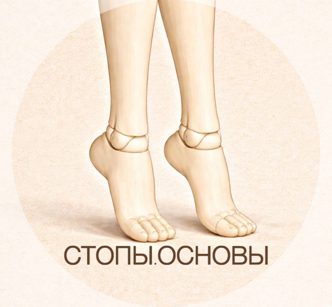 Курс Стопы. Основы